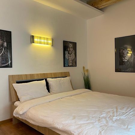 Savoya4 Old City Center Self Checkin Workspacestudio Timisoara Bagian luar foto