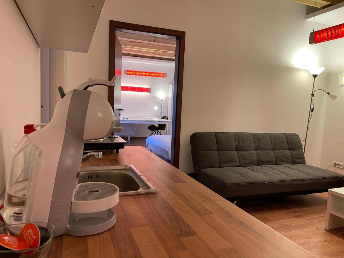 Savoya4 Old City Center Self Checkin Workspacestudio Timisoara Bagian luar foto