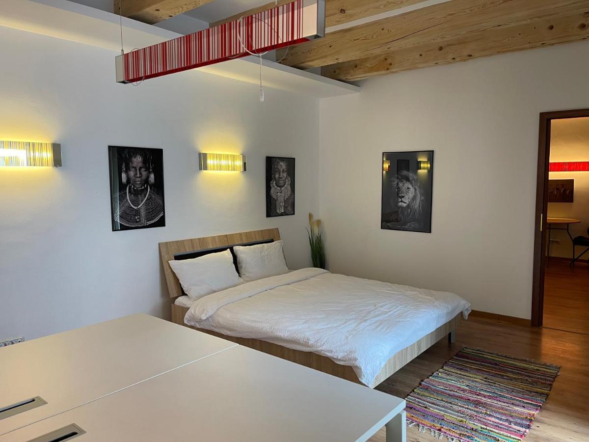Savoya4 Old City Center Self Checkin Workspacestudio Timisoara Bagian luar foto