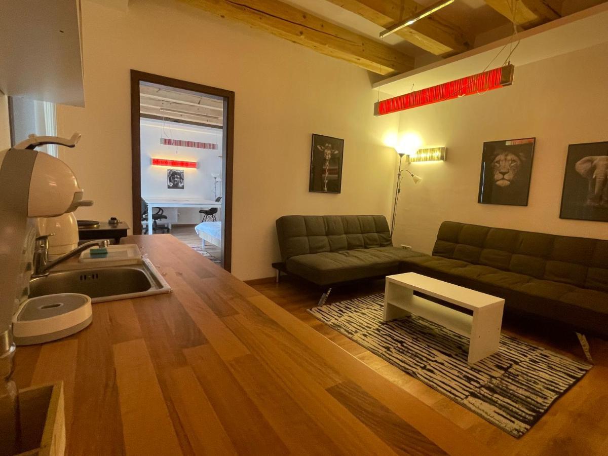 Savoya4 Old City Center Self Checkin Workspacestudio Timisoara Bagian luar foto